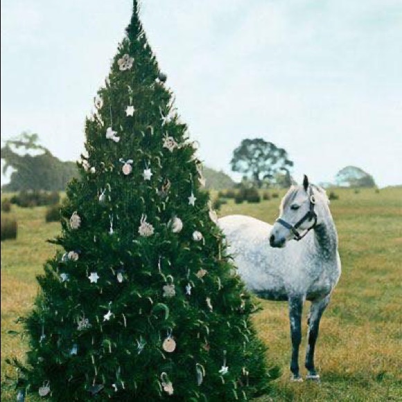 Happy Holidays!!! - Picture 1 of 1